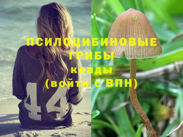 кокс Белокуриха