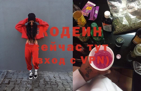 шишки Беломорск