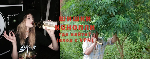 кокс Белокуриха