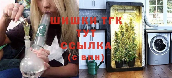 шишки Беломорск