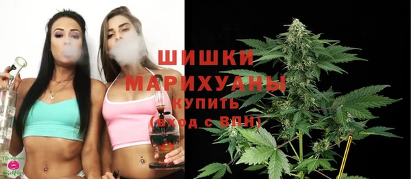 шишки Беломорск
