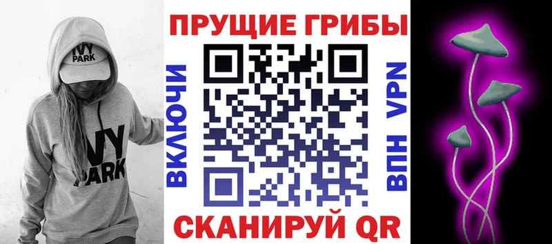 как найти закладки  сайты даркнета наркотические препараты  Псилоцибиновые грибы GOLDEN TEACHER  Очёр 